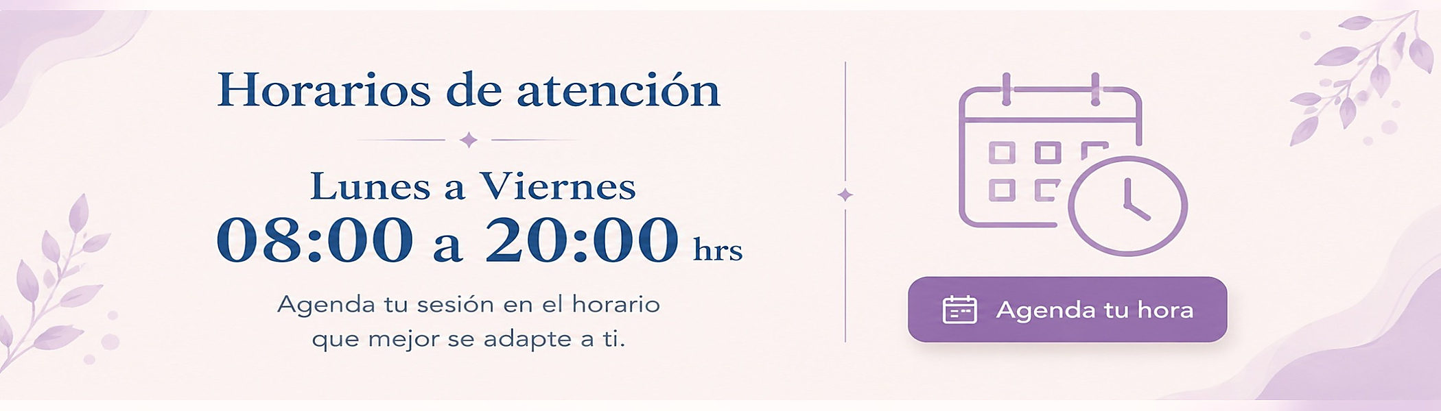 Horarios de atención de lunes a viernes, de 08:00 a 20:00 horas